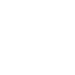 Solutions Partner for Business Applications